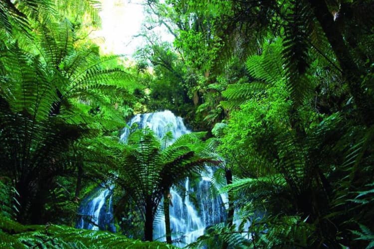 Bridal Veil Waterfall